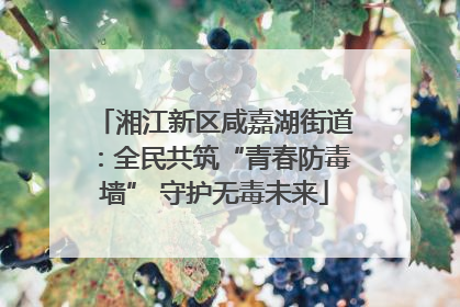 湘江新区咸嘉湖街道：全民共筑“青春防毒墙” 守护无毒未来
