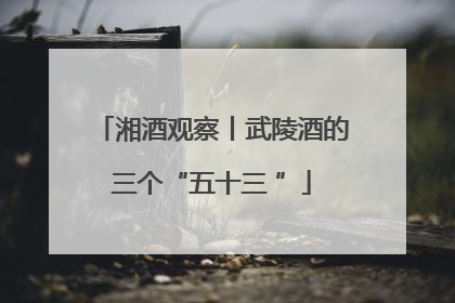 湘酒观察丨武陵酒的三个“五十三 ”
