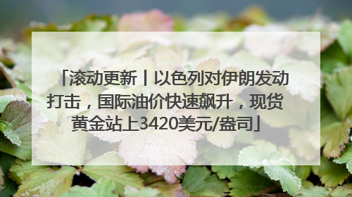 滚动更新丨以色列对伊朗发动打击，国际油价快速飙升，现货黄金站上3420美元/盎司