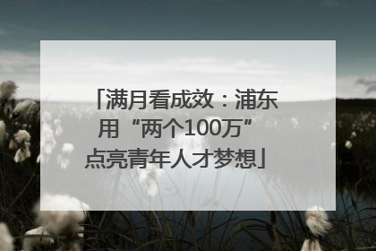 满月看成效：浦东用“两个100万”点亮青年人才梦想