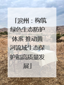 滨州：构筑绿色生态防护体系 推动黄河流域生态保护和高质量发展