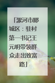 漯河市郾城区：驻村第一书记王元明带领群众走出致富路
