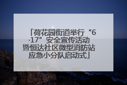荷花园街道举行“6·17”安全宣传活动暨恒达社区微型消防站应急小分队启动式