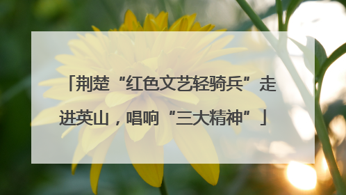 荆楚“红色文艺轻骑兵”走进英山，唱响“三大精神”