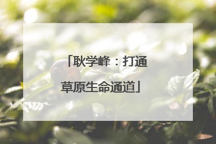 耿学峰：打通草原生命通道