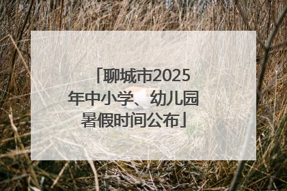 聊城市2025年中小学、幼儿园暑假时间公布