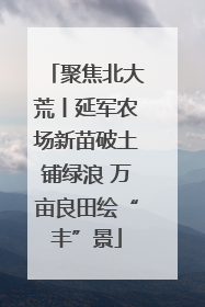 聚焦北大荒丨延军农场新苗破土铺绿浪 万亩良田绘“丰”景