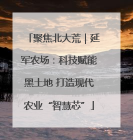 聚焦北大荒｜延军农场：科技赋能黑土地 打造现代农业“智慧芯”