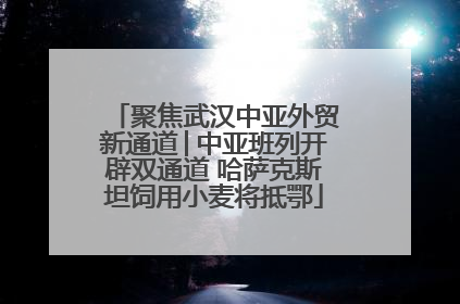 聚焦武汉中亚外贸新通道│中亚班列开辟双通道 哈萨克斯坦饲用小麦将抵鄂