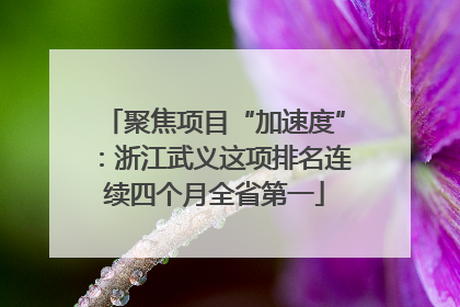 聚焦项目“加速度”：浙江武义这项排名连续四个月全省第一