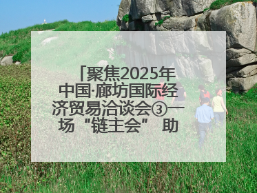 聚焦2025年中国·廊坊国际经济贸易洽谈会③一场“链主会” 助力厂商破圈发展