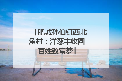 肥城孙伯镇西北角村：洋葱丰收圆百姓致富梦