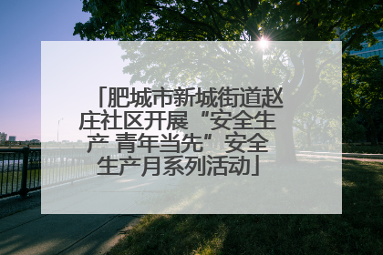 肥城市新城街道赵庄社区开展“安全生产 青年当先”安全生产月系列活动
