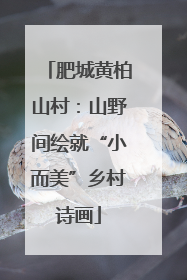 肥城黄柏山村：山野间绘就“小而美”乡村诗画