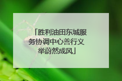 胜利油田东城服务协调中心善行义举蔚然成风