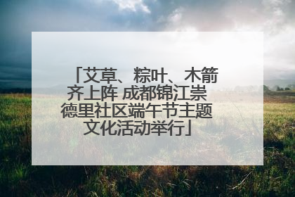 艾草、粽叶、木箭齐上阵 成都锦江崇德里社区端午节主题文化活动举行