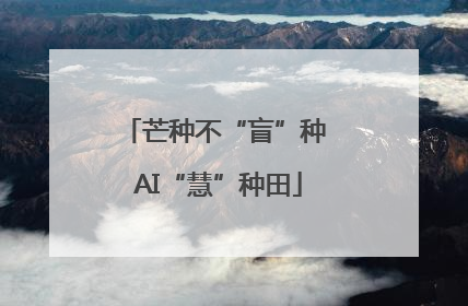 芒种不“盲”种 AI“慧”种田