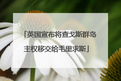 英国宣布将查戈斯群岛主权移交给毛里求斯