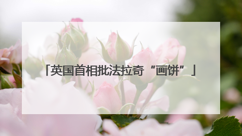 英国首相批法拉奇“画饼”
