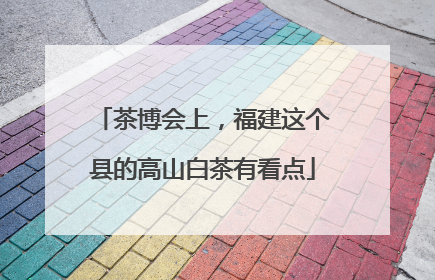 茶博会上，福建这个县的高山白茶有看点