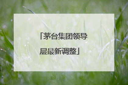 茅台集团领导层最新调整