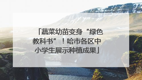 蔬菜幼苗变身“绿色教科书”！哈市各区中小学生展示种植成果