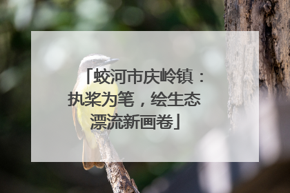 蛟河市庆岭镇：执桨为笔，绘生态漂流新画卷