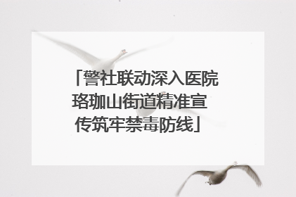 警社联动深入医院 珞珈山街道精准宣传筑牢禁毒防线