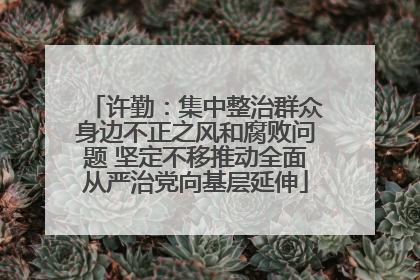 许勤：集中整治群众身边不正之风和腐败问题 坚定不移推动全面从严治党向基层延伸