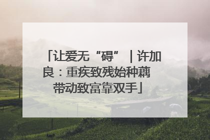 让爱无“碍”｜许加良：重疾致残始种藕 带动致富靠双手
