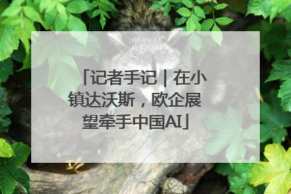 记者手记｜在小镇达沃斯，欧企展望牵手中国AI