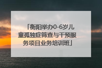 衡阳举办0-6岁儿童孤独症筛查与干预服务项目业务培训班