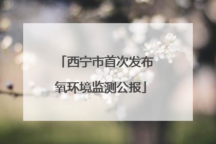 西宁市首次发布氧环境监测公报