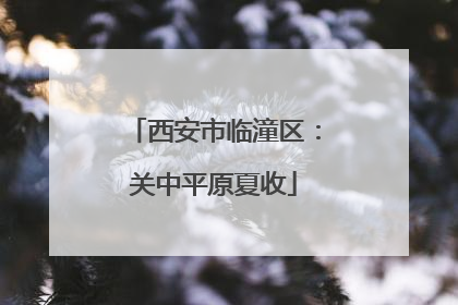 西安市临潼区：关中平原夏收