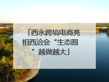 西永跨境电商亮相西洽会“生态圈”越做越大