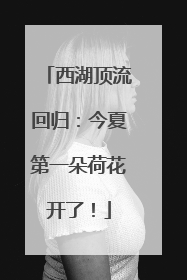 西湖顶流回归：今夏第一朵荷花开了！
