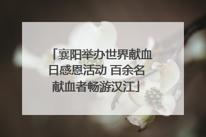 襄阳举办世界献血日感恩活动 百余名献血者畅游汉江