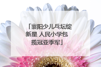 襄阳少儿乓坛绽新星 人民小学包揽冠亚季军