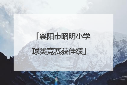 襄阳市昭明小学球类竞赛获佳绩