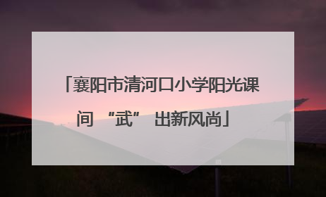襄阳市清河口小学阳光课间 “武” 出新风尚