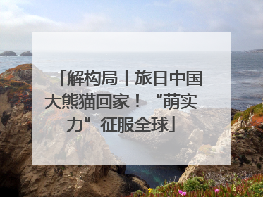 解构局丨旅日中国大熊猫回家！“萌实力”征服全球