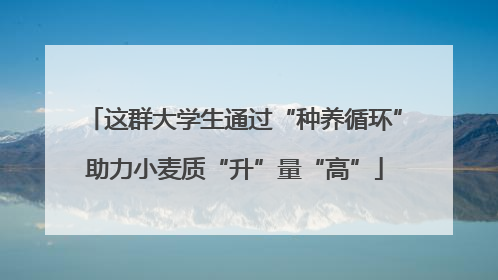 这群大学生通过“种养循环”助力小麦质“升”量“高”
