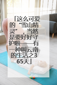 这么可爱的“雪山精灵”，当然是要好好守护啦——有一种叫云南的生活之365天