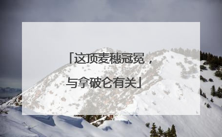 这顶麦穗冠冕，与拿破仑有关