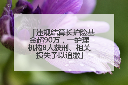 违规结算长护险基金超90万，一护理机构8人获刑、相关损失予以追缴