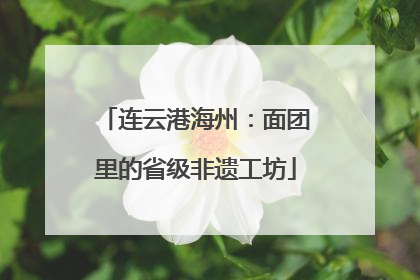 连云港海州：面团里的省级非遗工坊