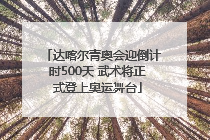 达喀尔青奥会迎倒计时500天 武术将正式登上奥运舞台