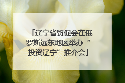 辽宁省贸促会在俄罗斯远东地区举办“投资辽宁”推介会