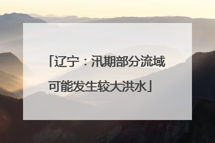 辽宁：汛期部分流域可能发生较大洪水