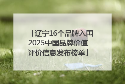 辽宁16个品牌入围2025中国品牌价值评价信息发布榜单